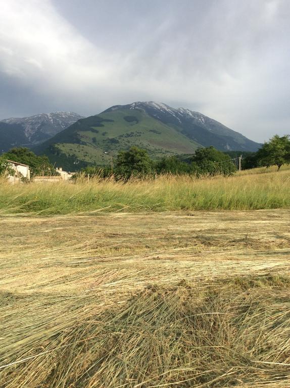 Casa Vacanza Abruzzo كارامانيكو تيرمي المظهر الخارجي الصورة